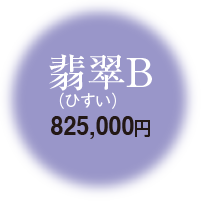 翡翠B 825,000円